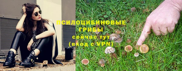 прущие грибы Алзамай