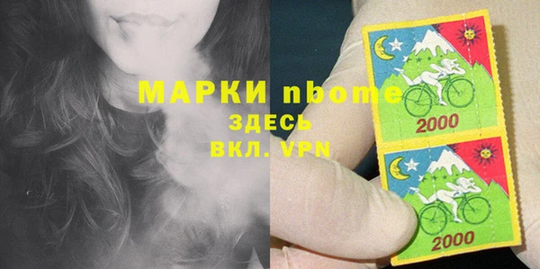 прущие грибы Алзамай