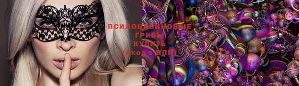 прущие грибы Алзамай