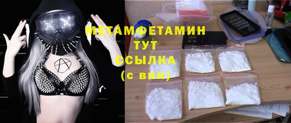 прущие грибы Алзамай