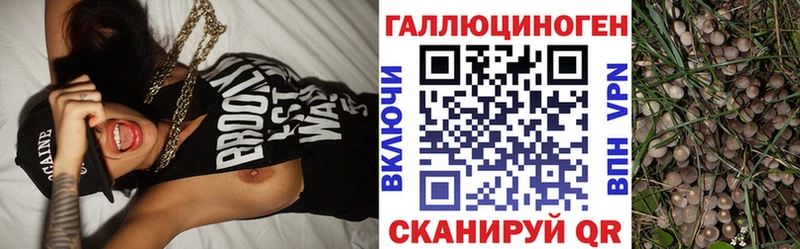 Галлюциногенные грибы прущие грибы  Старый Оскол 